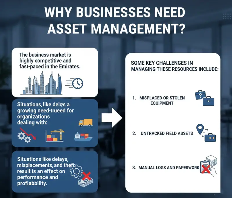 Why Businesses Need Asset Management